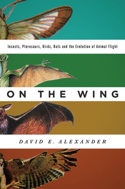 Cover image for book On the Wing