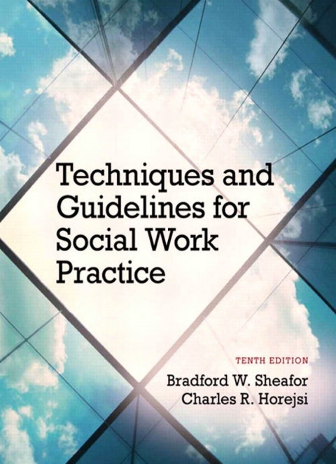 Cover image for book Techniques and Guidelines for Social Work Practice