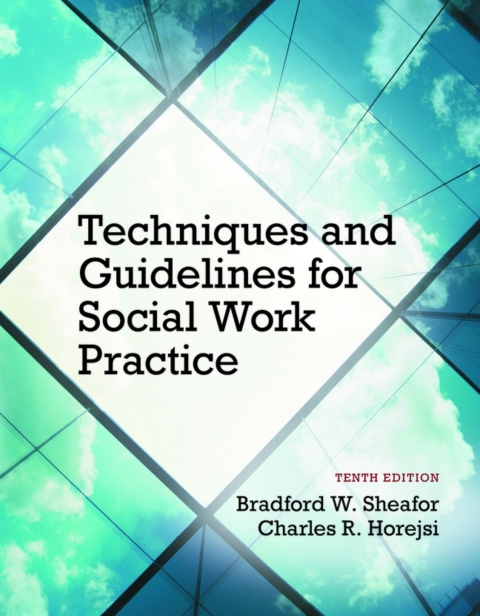 Cover image for book Techniques and Guidelines for Social Work Practice (Pearson+)