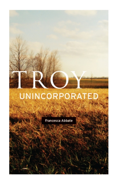 Cover image for book Troy, Unincorporated