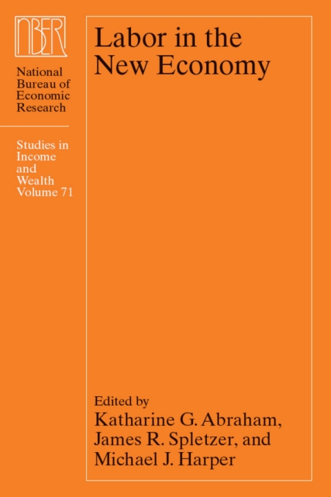 Cover image for book Labor in the New Economy