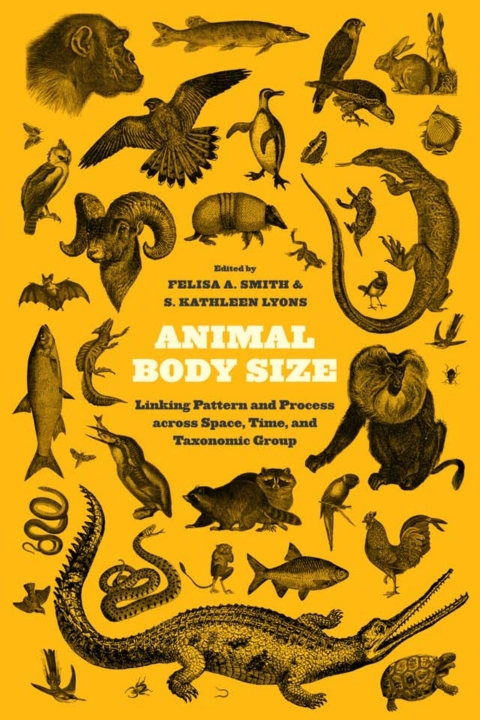 Cover image for book Animal Body Size