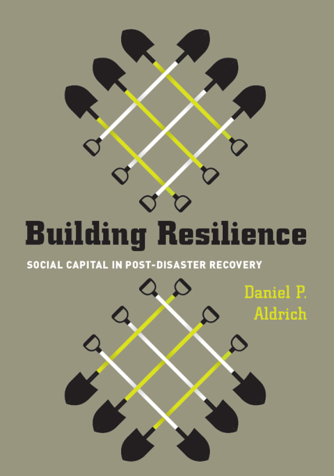 Cover image for book Building Resilience
