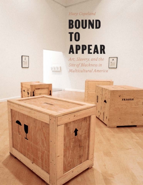 Cover image for book Bound to Appear