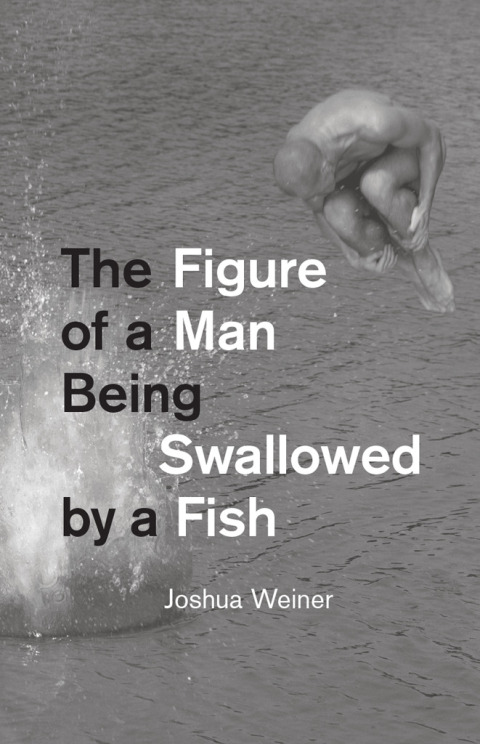 Cover image for book The Figure of a Man Being Swallowed by a Fish