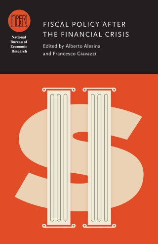 Fiscal Policy after the Financial Crisis