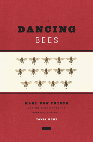 The Dancing Bees