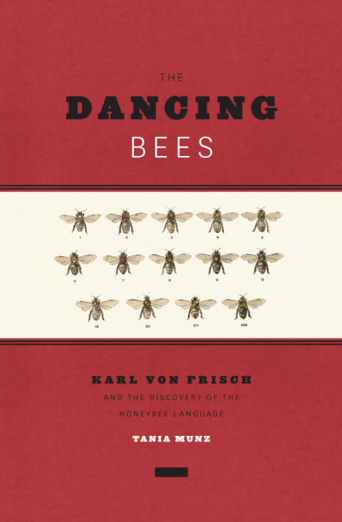 Cover image for book The Dancing Bees