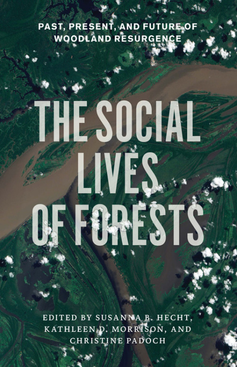 Cover image for book The Social Lives of Forests