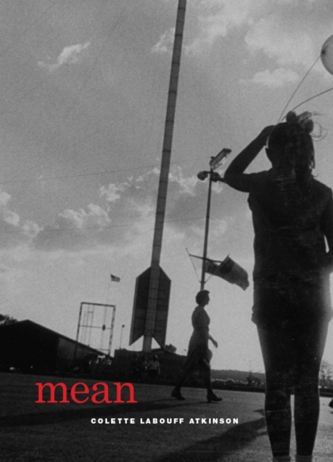 Cover image for book Mean
