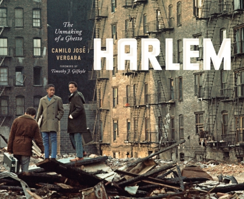 Cover image for book Harlem