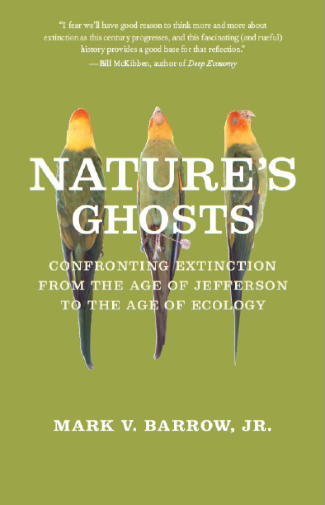 Nature's Ghosts