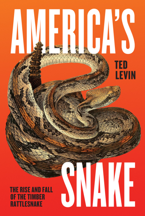 Cover image for book America's Snake