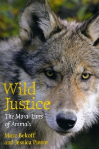 Titelbild: Wild Justice 1st edition 9780226041636