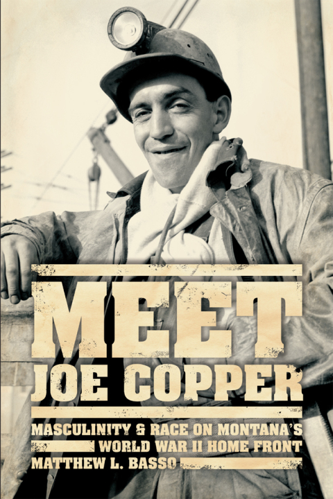 Cover image for book Meet Joe Copper
