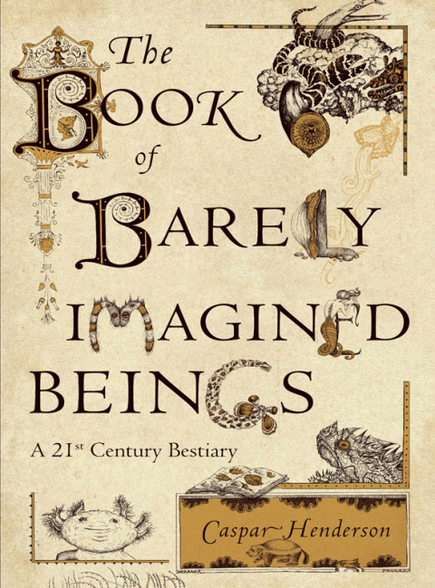 Cover image for book The Book of Barely Imagined Beings