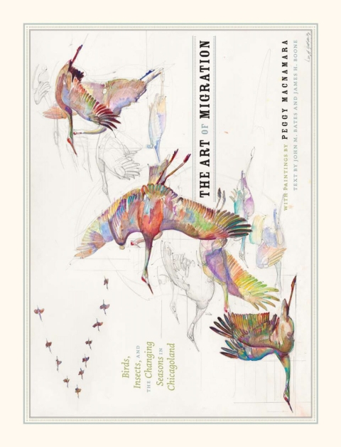 Cover image for book The Art of Migration
