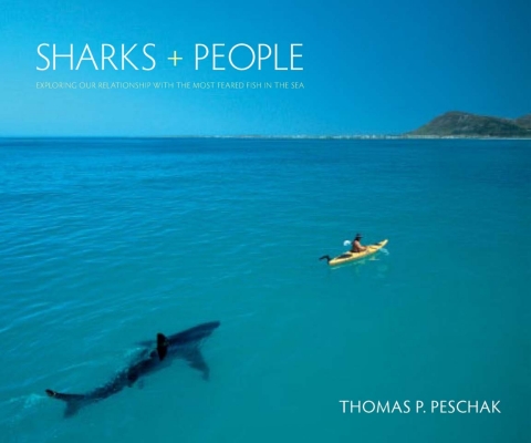 Cover image for book Sharks and People