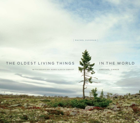 Cover image for book The Oldest Living Things in the World