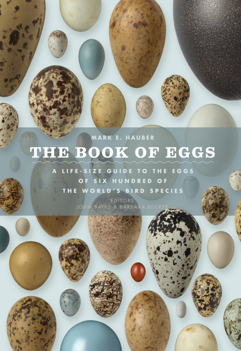 Cover image for book The Book of Eggs