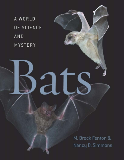 Cover image for book Bats