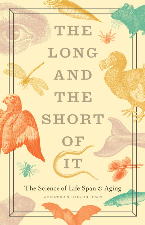 Cover image for book The Long and the Short of It