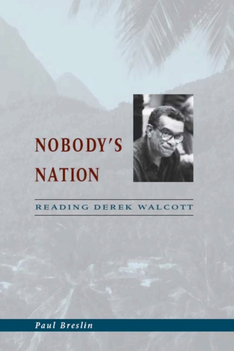 Cover image for book Nobody's Nation