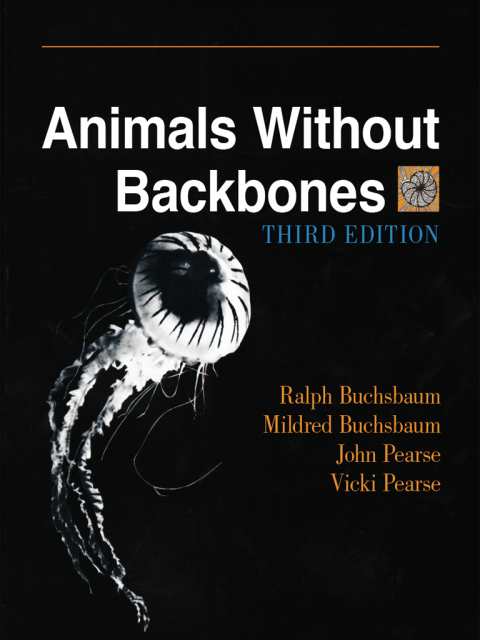 Cover image for book Animals Without Backbones