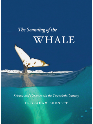 The Sounding of the Whale