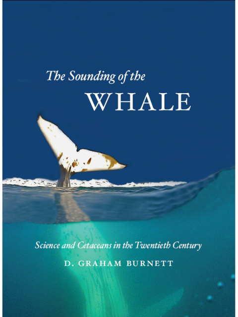 Cover image for book The Sounding of the Whale