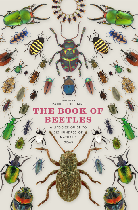 Cover image for book The Book of Beetles