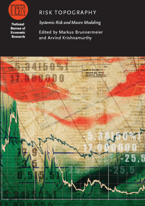 Cover image for book Risk Topography