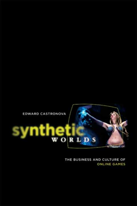 Cover image for book Synthetic Worlds