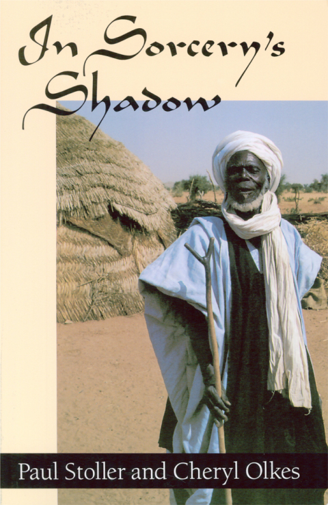 Cover image for book In Sorcery's Shadow