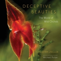 صورة الغلاف: Deceptive Beauties 1st edition 9780226982977