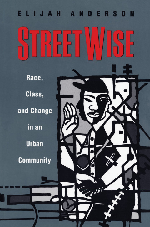 Cover image for book Streetwise