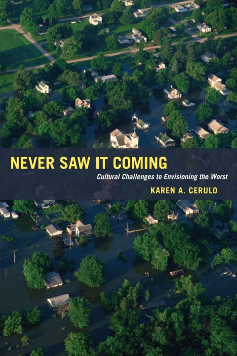 Cover image for book Never Saw It Coming