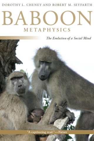 Baboon Metaphysics