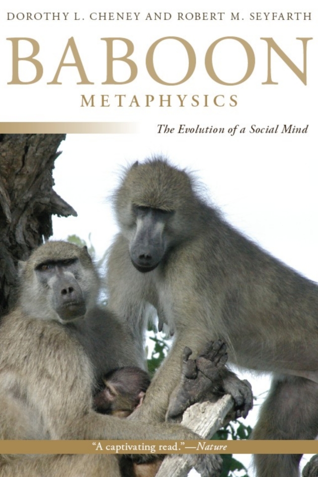 Baboon Metaphysics