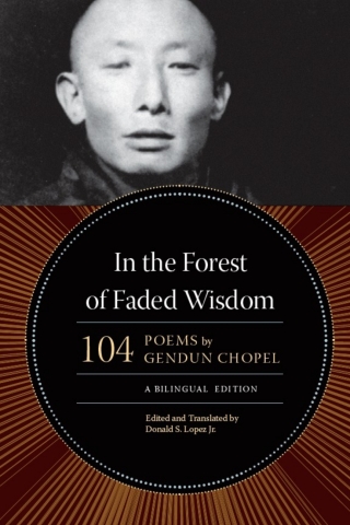 In the Forest of Faded Wisdom