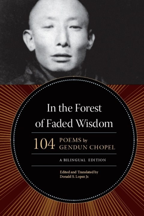 Cover image for book In the Forest of Faded Wisdom