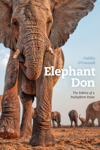 Elephant Don