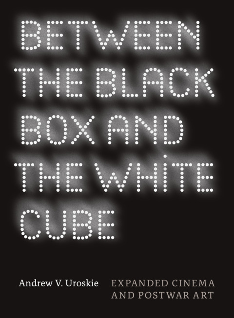 Between the Black Box and the White Cube 