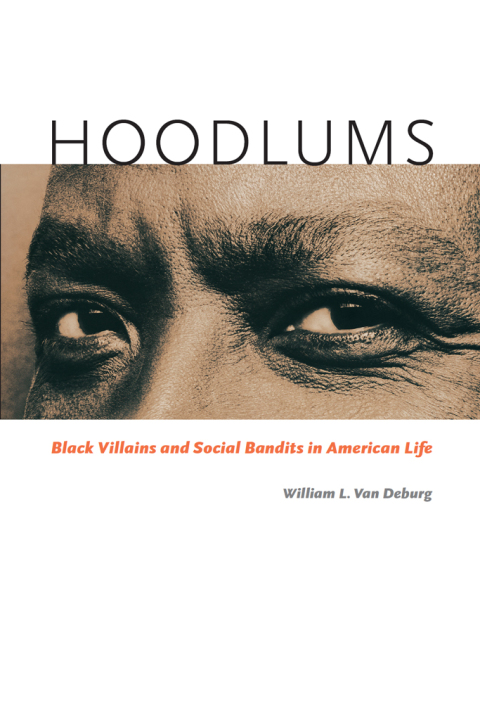 Cover image for book Hoodlums