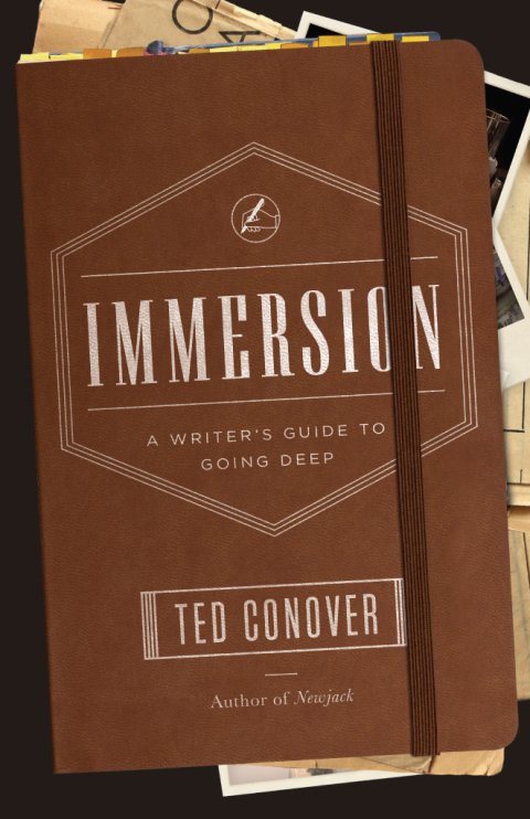 Cover image for book Immersion