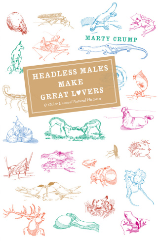 Headless Males Make Great Lovers