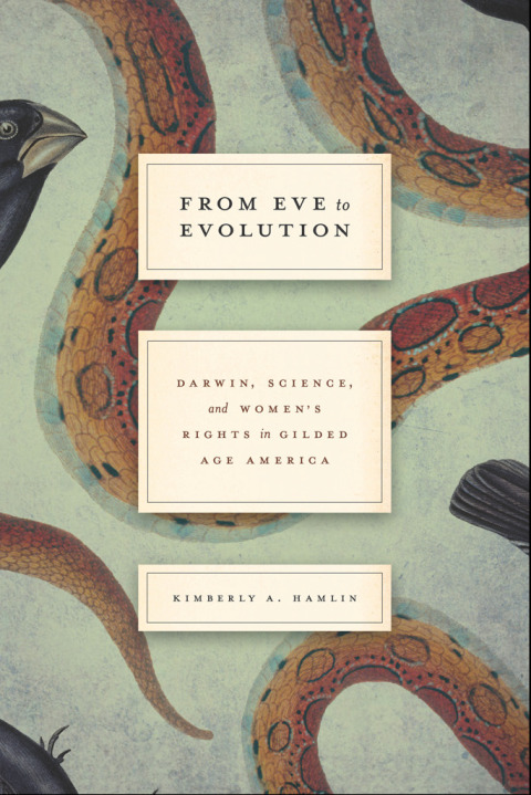 Cover image for book From Eve to Evolution