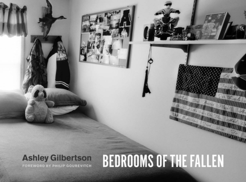 Cover image for book Bedrooms of the Fallen