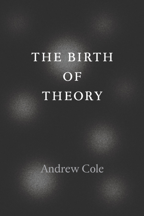 Cover image for book The Birth of Theory