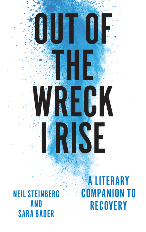 Cover image for book Out of the Wreck I Rise